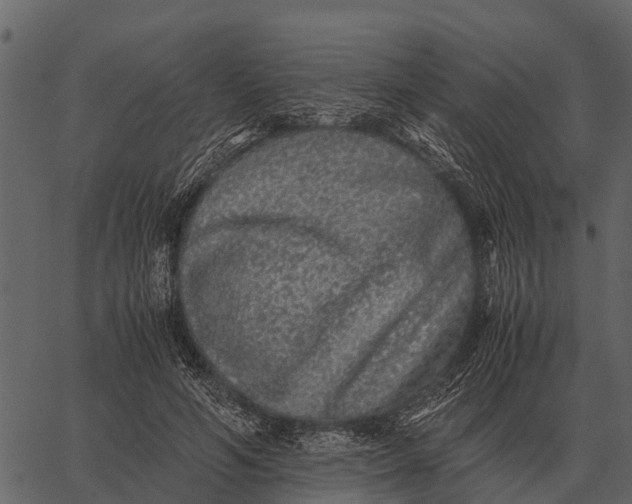 X0000062650594200601111154