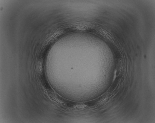 X0000062650595200601111154