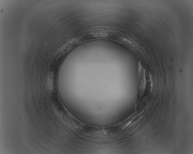 X0000062650600200601111153