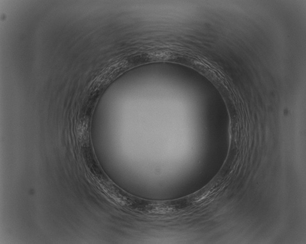 X0000062650601200601111153