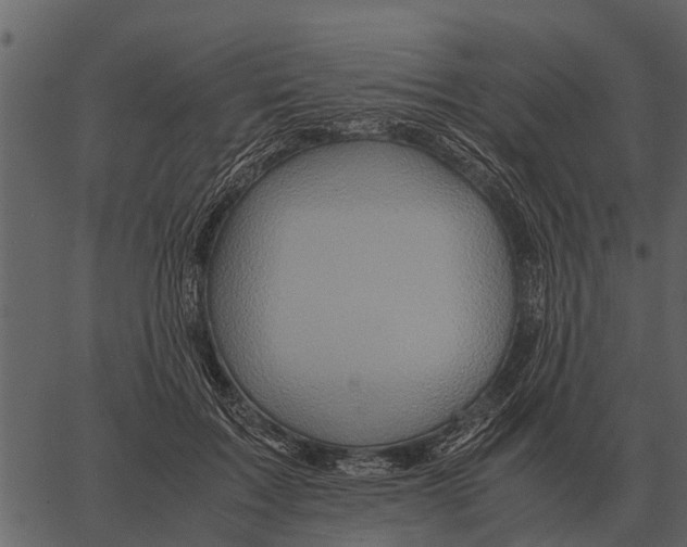 X0000062650603200601111153