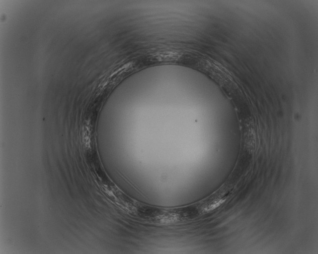 X0000062650604200601111153