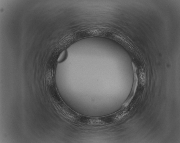 X0000062650605200601111153