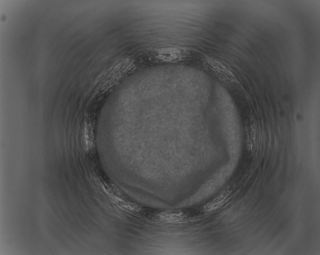 X0000062650606200601111153