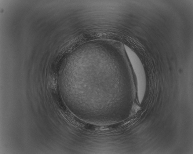 X0000062650607200601111153