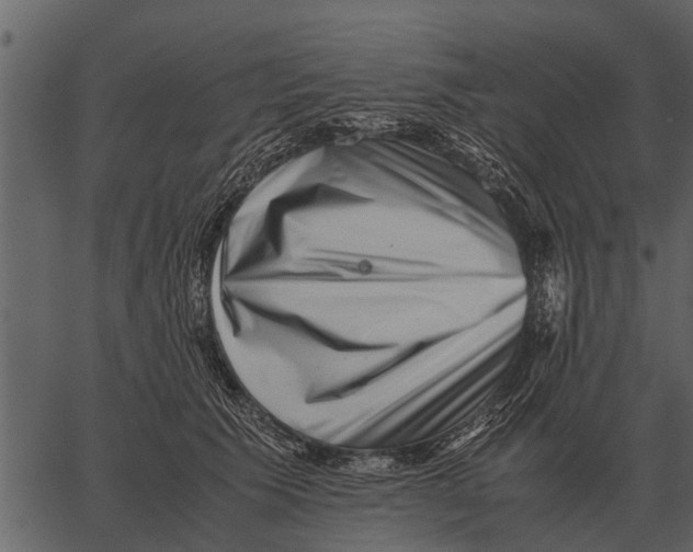 X0000062650609200601111153