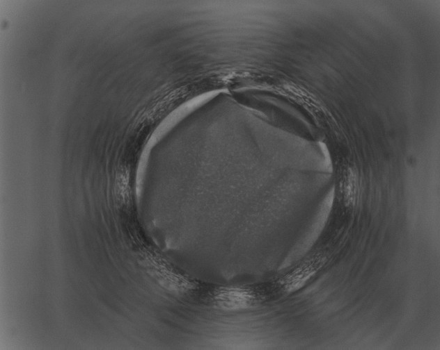 X0000062650610200601111153