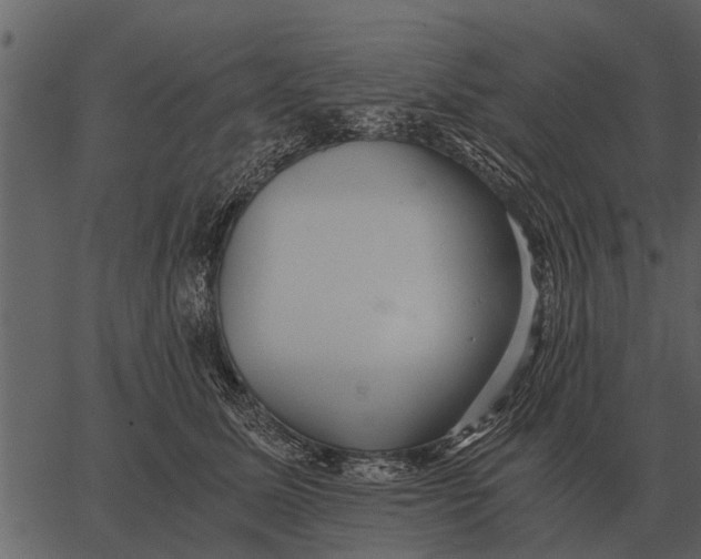 X0000062650611200601111153