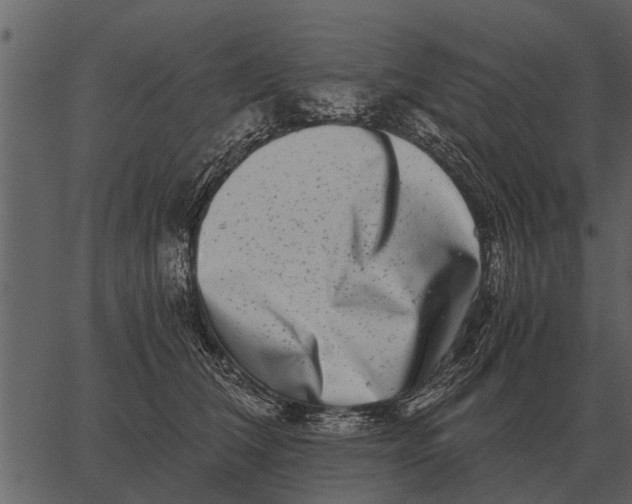 X0000062650612200601111153