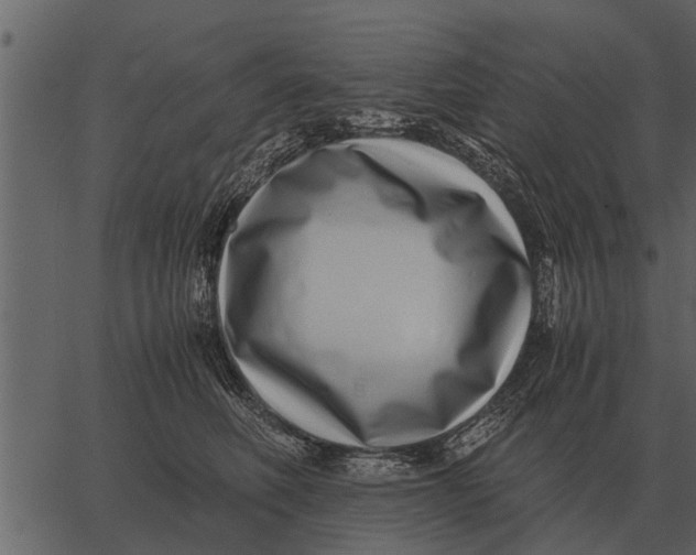 X0000062650614200601111153