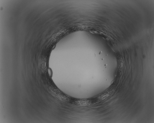 X0000062650615200601111153