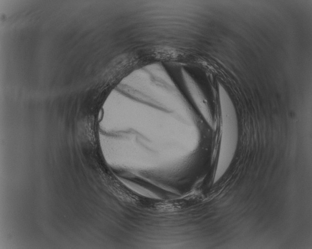 X0000062650616200601111153