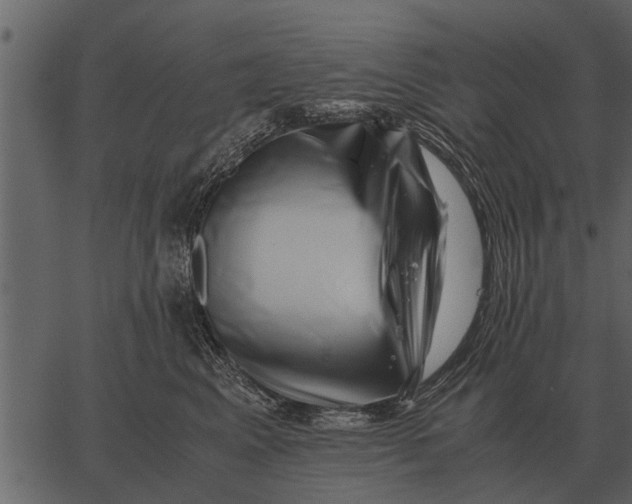 X0000062650617200601111153