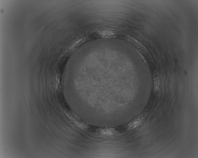 X0000062650618200601111153