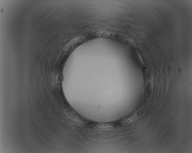 X0000062650619200601111153