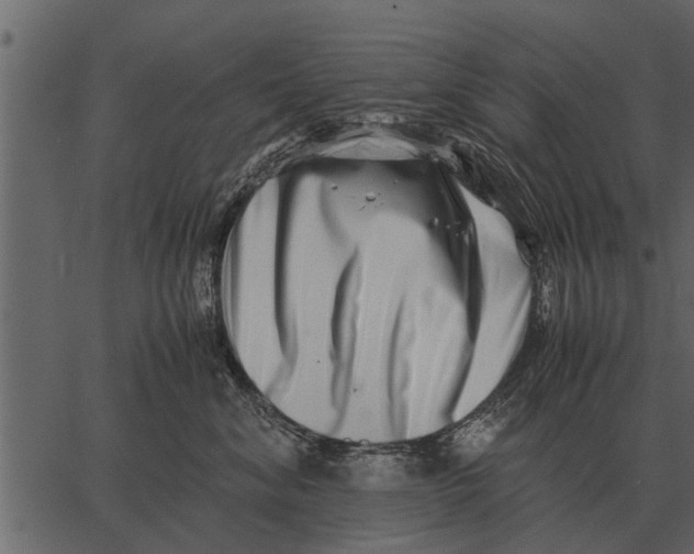 X0000062650620200601111153