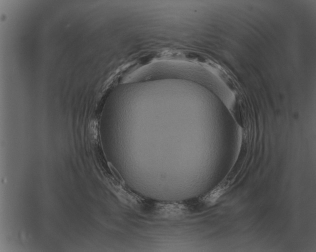 X0000062650621200601111153