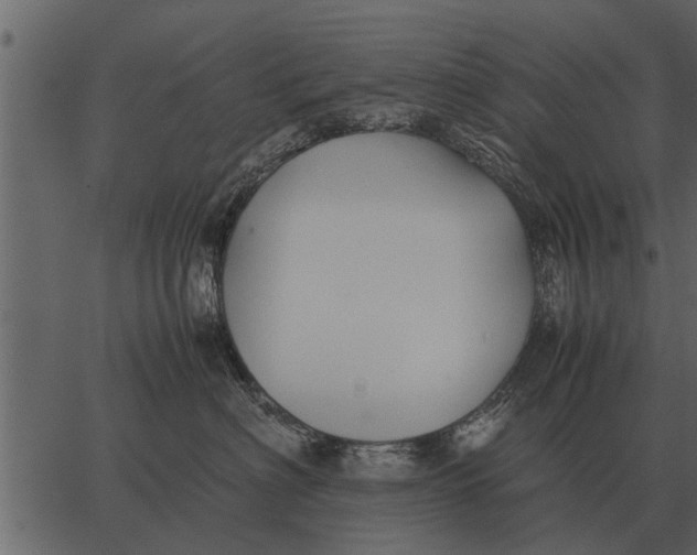 X0000062650622200601111153