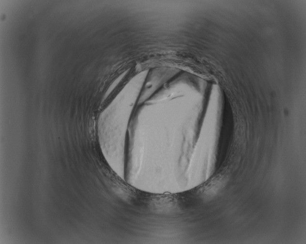 X0000062650624200601111153