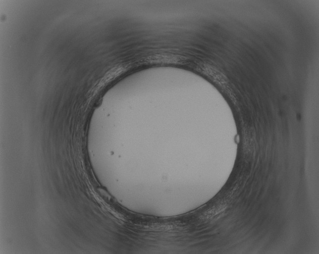 X0000062650625200601111152