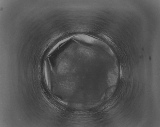 X0000062650627200601111152