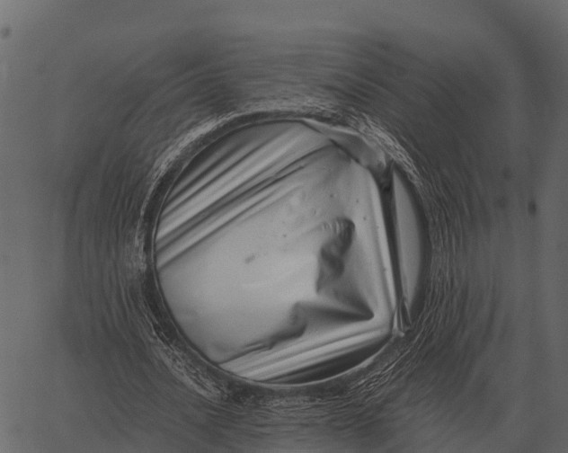 X0000062650628200601111152