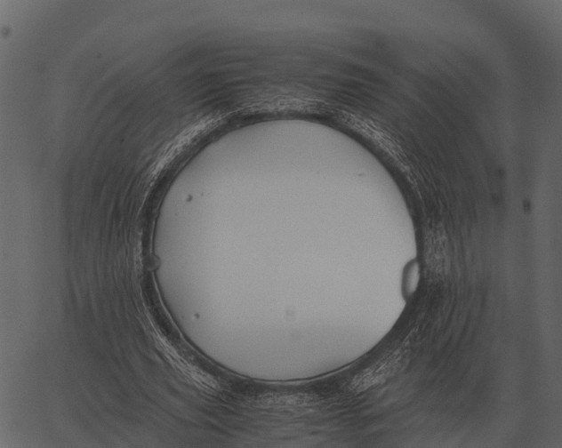 X0000062650629200601111152