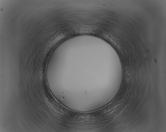 X0000062650631200601111152