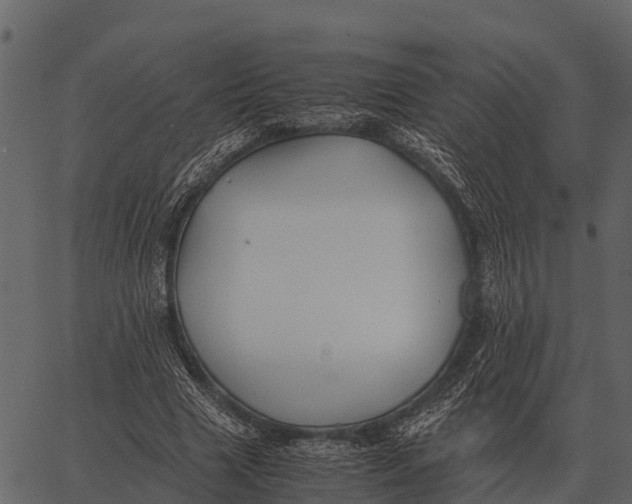 X0000062650633200601111152