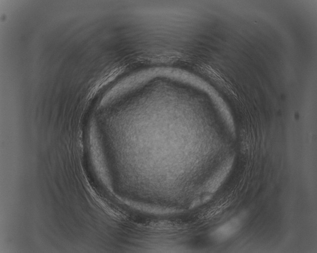 X0000062650634200601111152