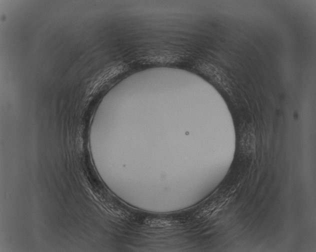 X0000062650635200601111152