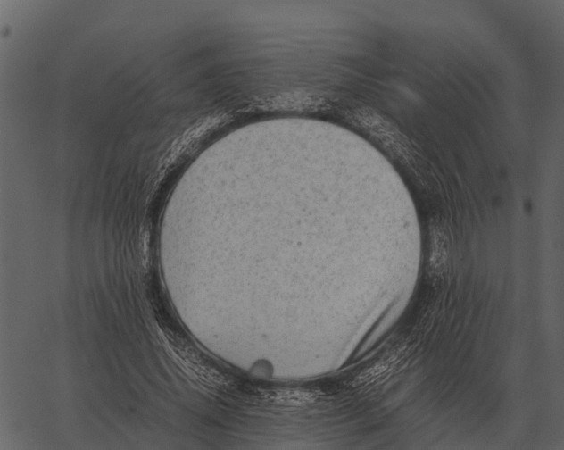 X0000062650636200601111152