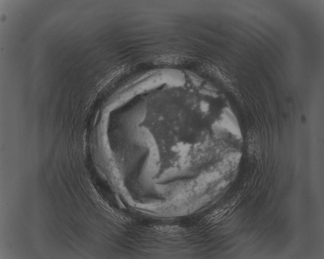 X0000062650637200601111152