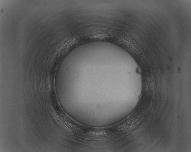 X0000062650639200601111152