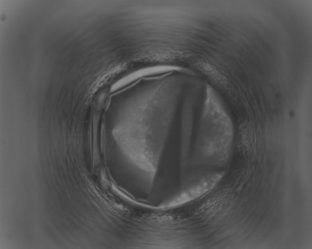 X0000062650640200601111153