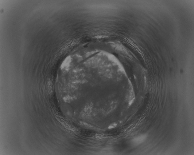 X0000062650641200601111153