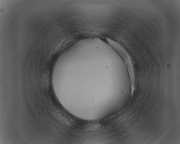 X0000062650642200601111153