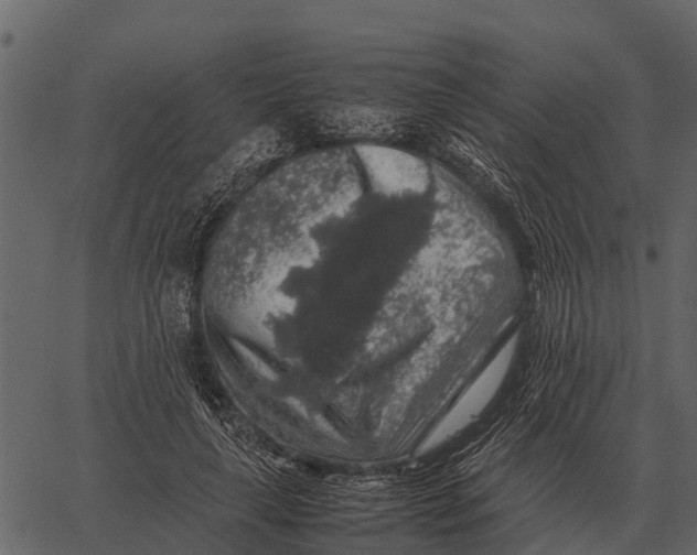 X0000062650643200601111153