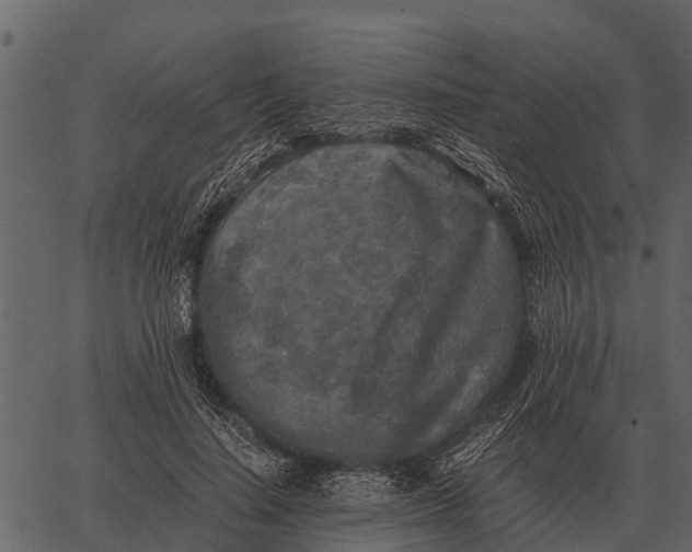 X0000062650644200601111153