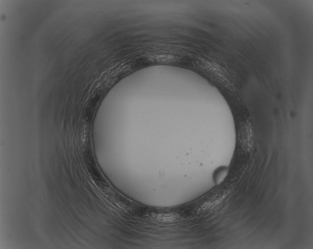 X0000062650645200601111153