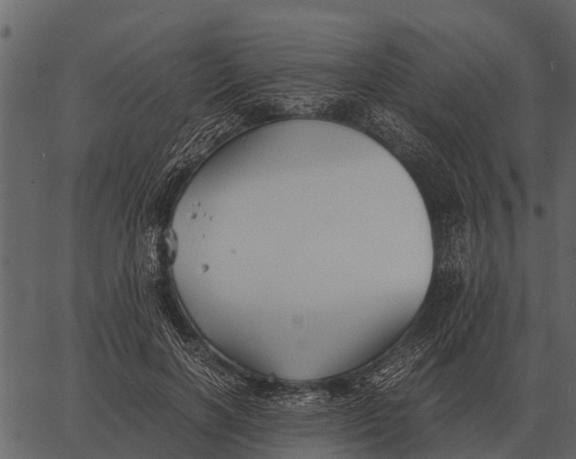 X0000062650646200601111153