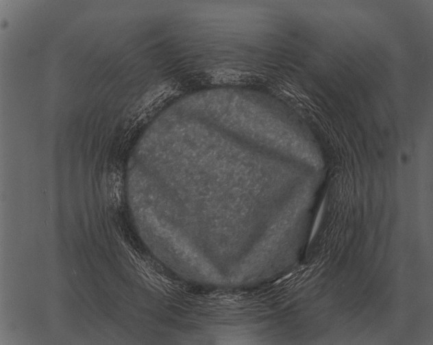 X0000062650648200601111153