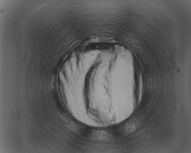 X0000062650649200601111153