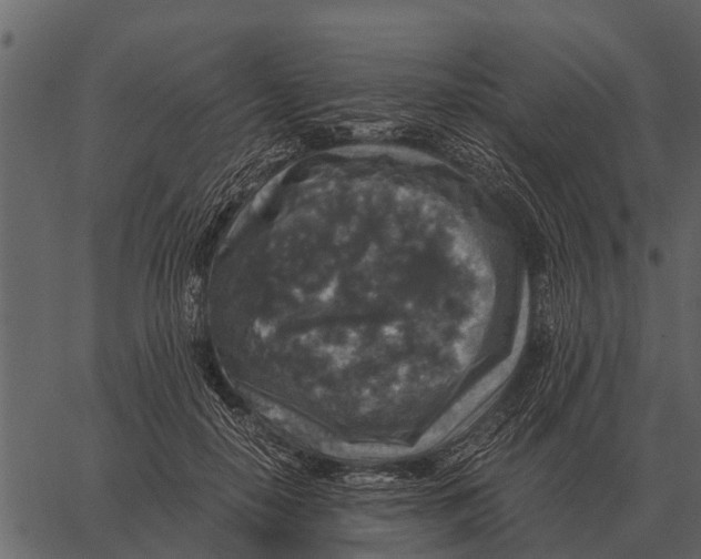 X0000062650650200601111153