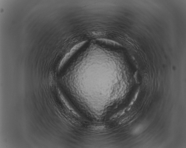 X0000062650651200601111153