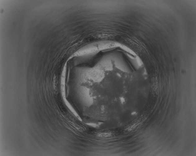 X0000062650653200601111153