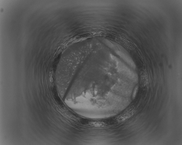 X0000062650654200601111153