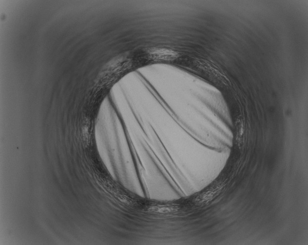 X0000062650655200601111153