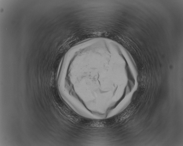 X0000062650656200601111153