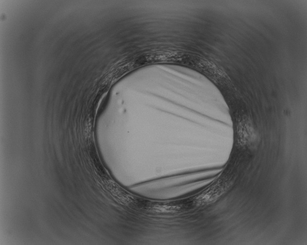 X0000062650657200601111153